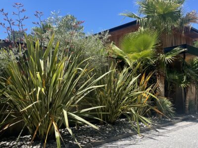 VILLA PALMERA